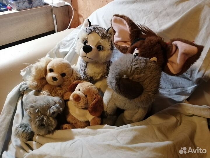 Коллекция собак