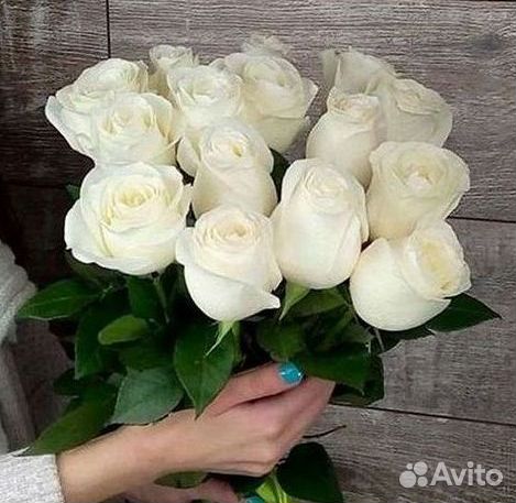 Высокие розы Гигантские Розы 150 160 170 180 190см