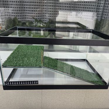 Аквариум для красноухой черепахи 25 литров