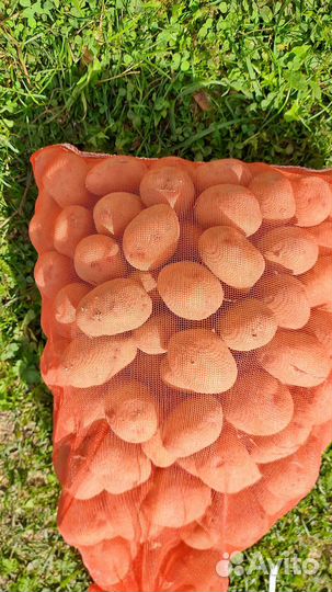 Картофель деревенский на еду