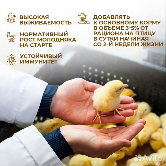 Белковый премикс для цыплят с Львинкой, 6 кг