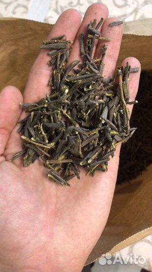 Саган-Дайля (Рододендрона Адамса )