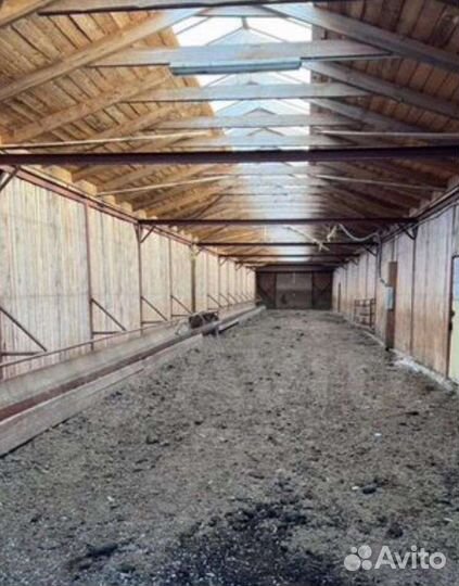 Телятик металлический разборный бу