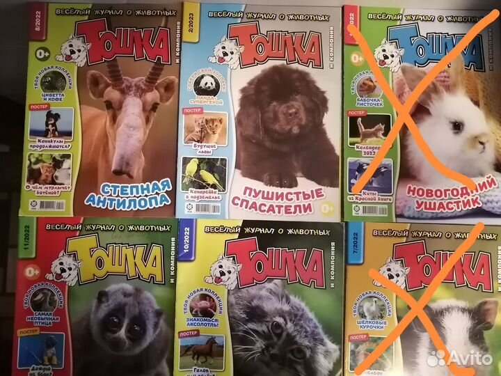Журнал детский тошка