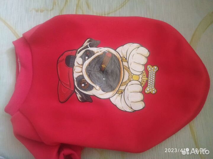 Толстовка для собак