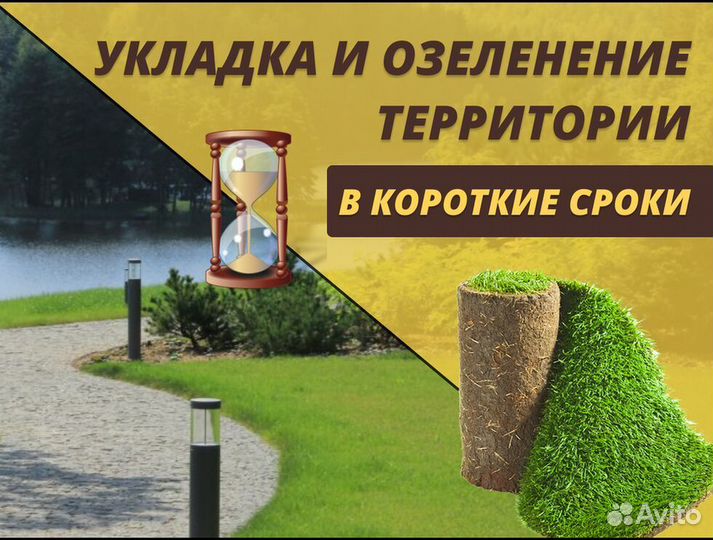 Рулонный газон Стандартный доставка