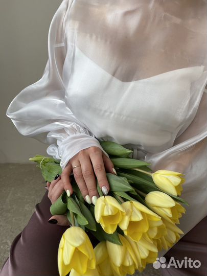 Тюльпаны крупные премиум класса