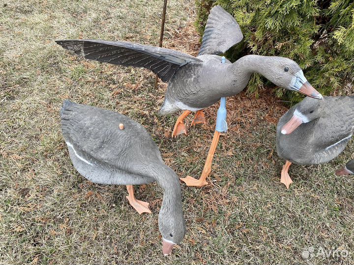 Чучела гусей sportplast