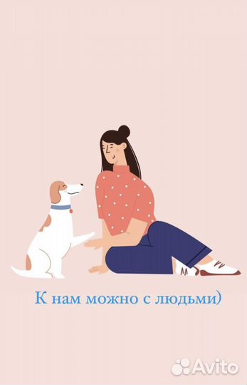 Груминг собак и кошек