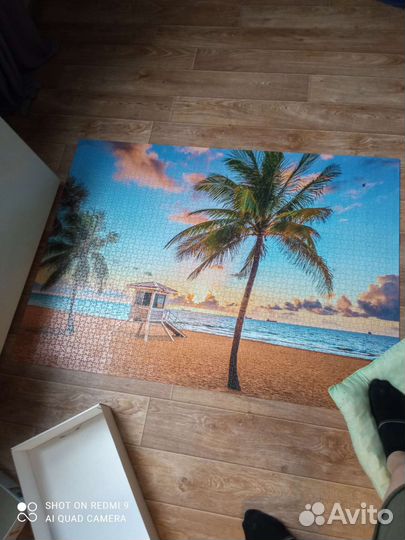 Пазлы 3000 деталей