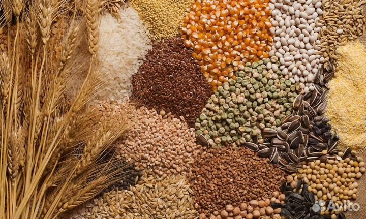 Комбикорм, зерно, опилки, стружа, добавки