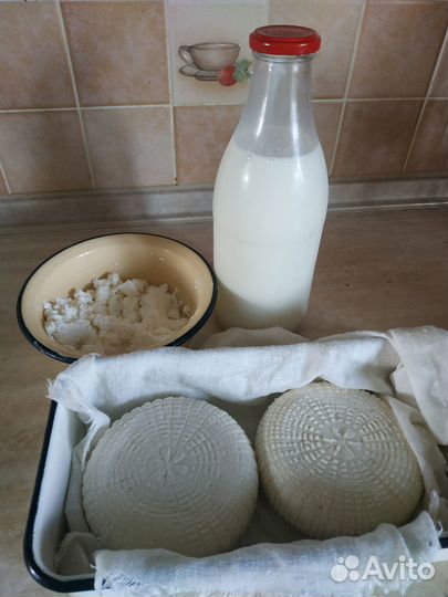 Козье молоко, козий сыр, творог