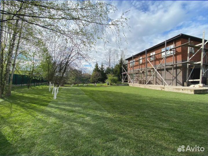 Рулонный газон