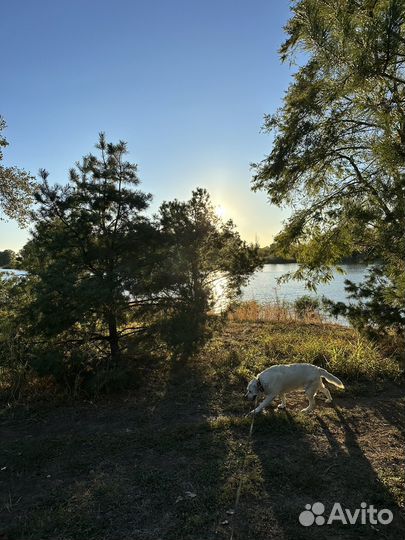 Продавец озеленитель