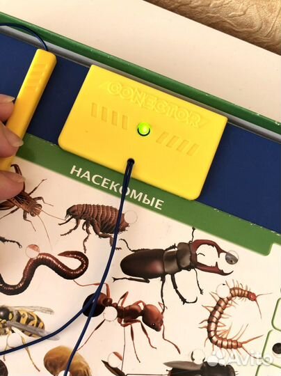 Электровикторина Educa «Животный мир»