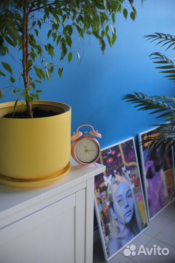 Репетитор по математике Подготовка к огэ/егэ