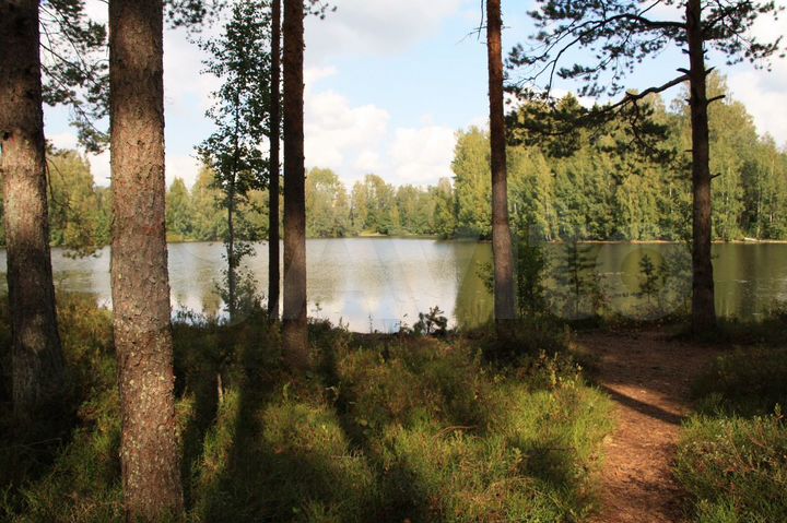 Участок 15,5 сот. (ИЖС)