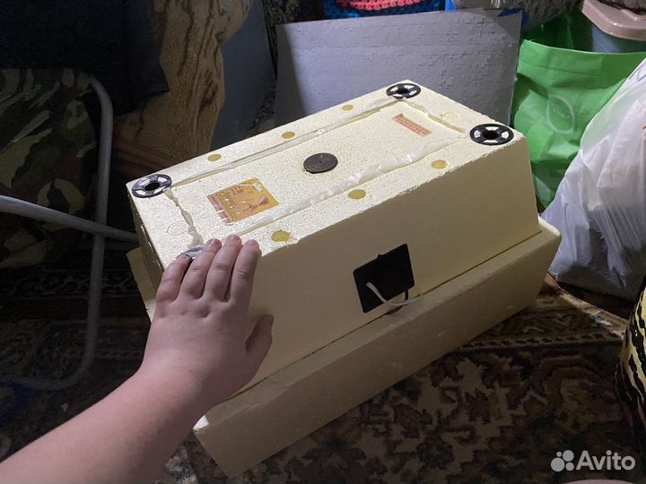 Инкубатор золушка