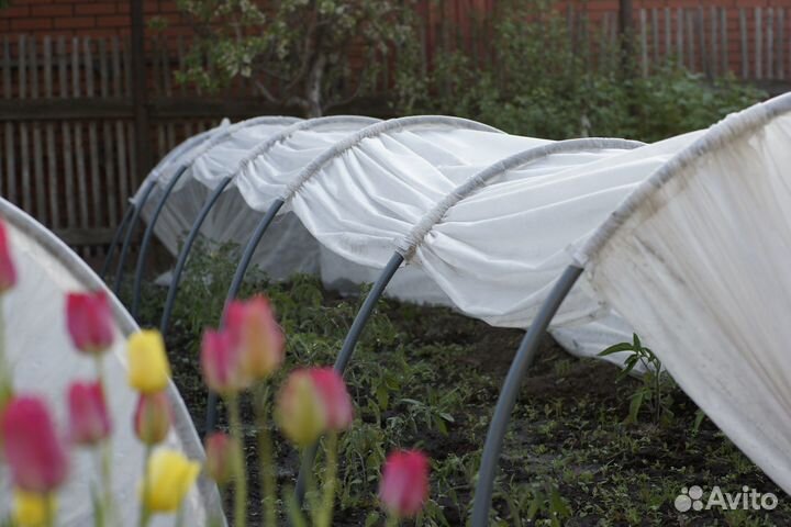 Парник подснежник