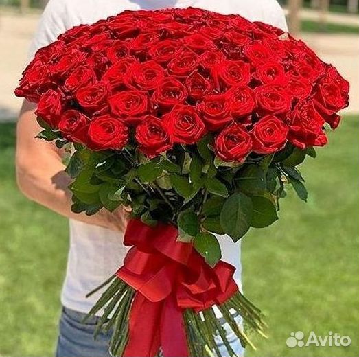 Розы Букеты Цветы Розы 31 101 151 201 Доставка
