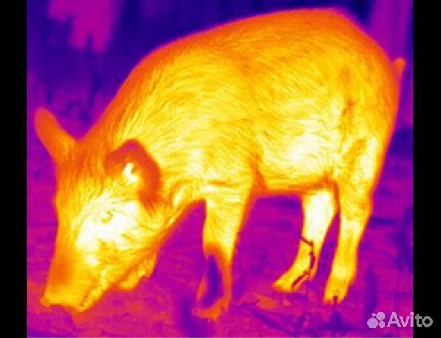 Тепловизионный прицел iray saim SCL 35W