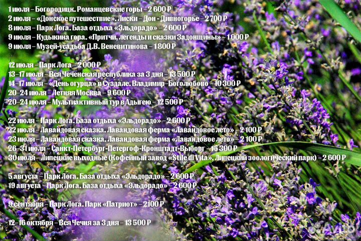 Автобусные туры