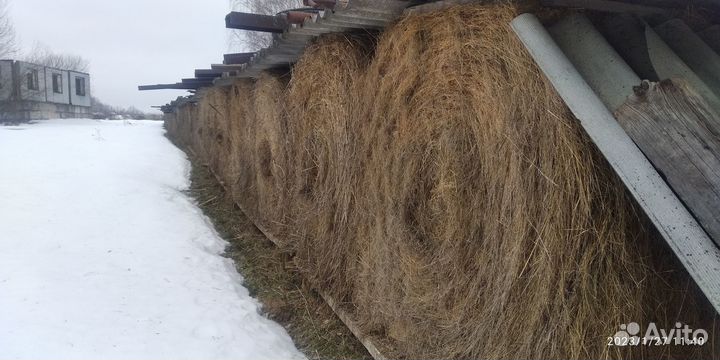 Сено в рулонах