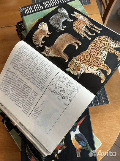 Энциклопедия Жизнь животных, 6 томов