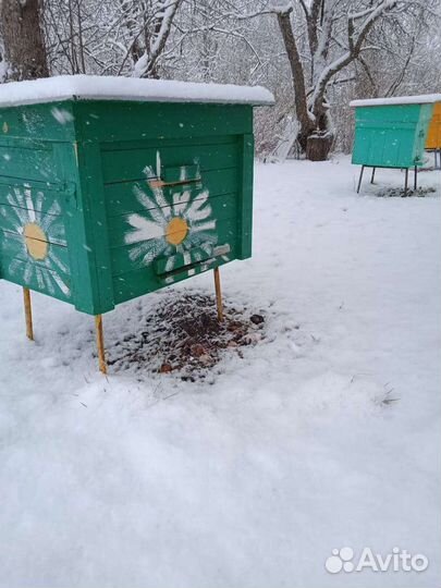 Улей для пчёл