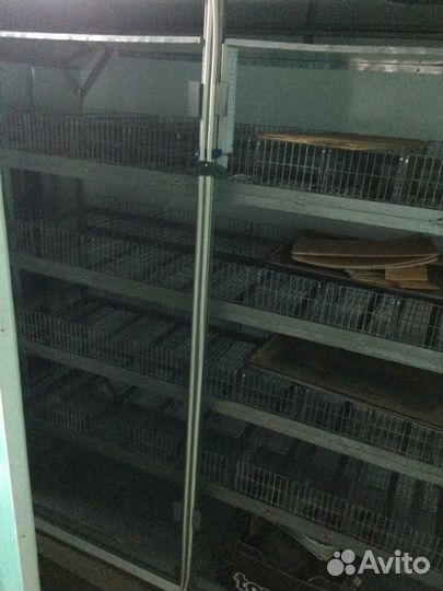 Продаётся инкубатор, Рэмил, для инкубации Яйца