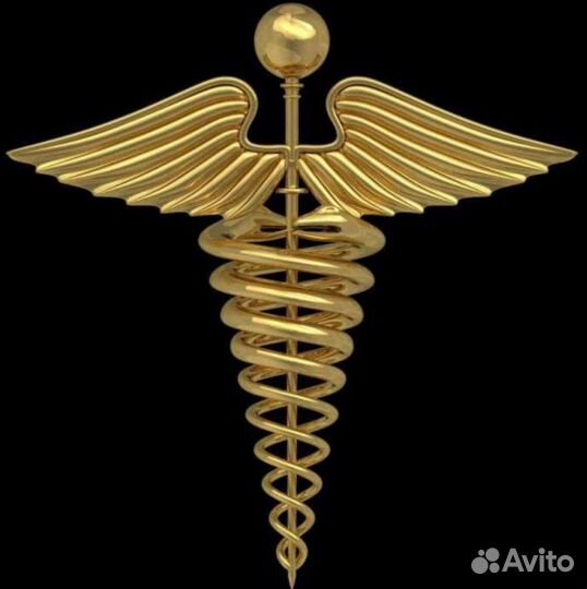 Водитель экспедитор