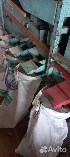 Семена арбуза