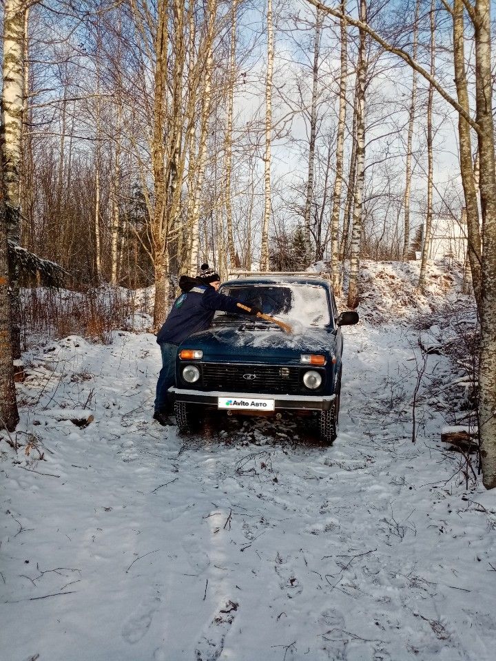 ВАЗ (LADA) 4x4 (Нива): фото владельца