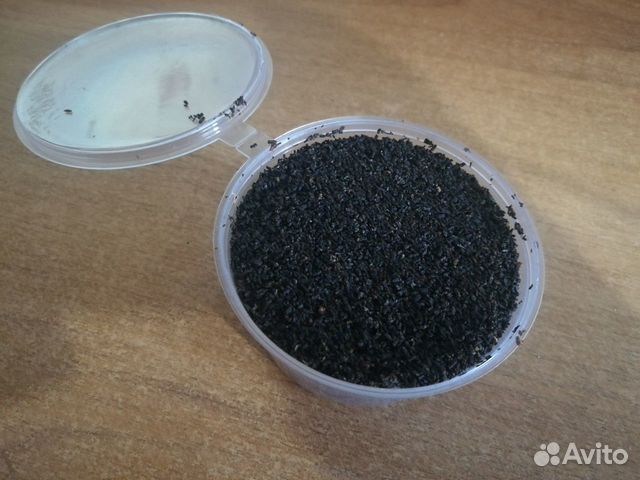 Пжвм приготовление. Пчелиная огнёвка пжвм. Пчелиная огнёвка пжвм. Пжвм. Пжвм приготовление.