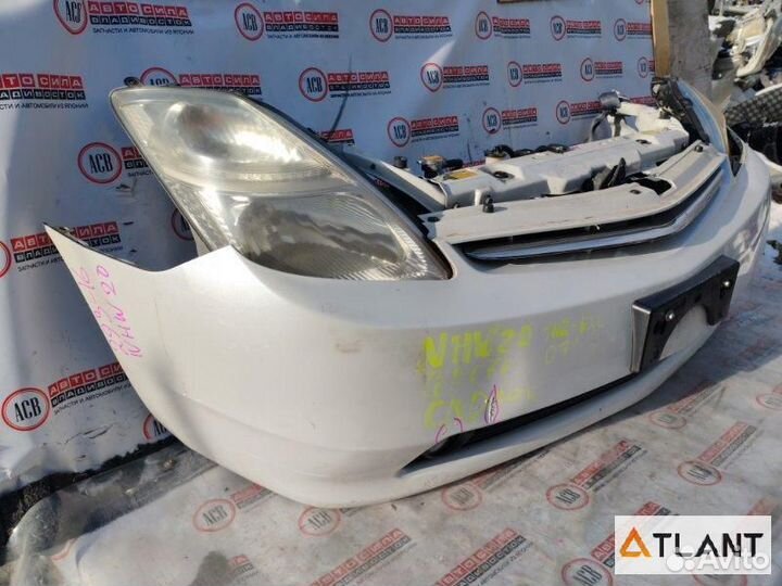 Nose cut toyota prius