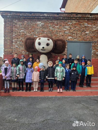 Аниматор на ваш праздник