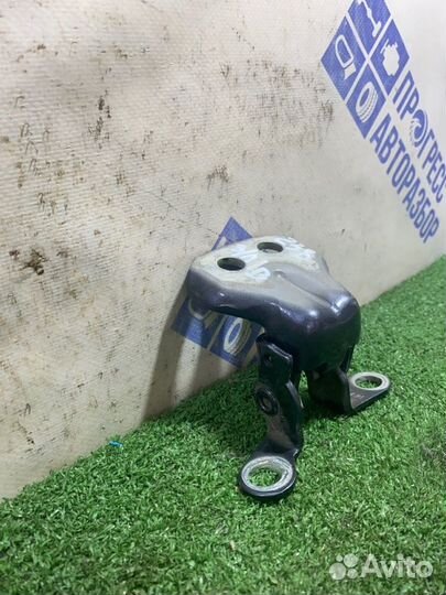 Петля двери задняя левая Ford Fusion хэтчбек 1.6