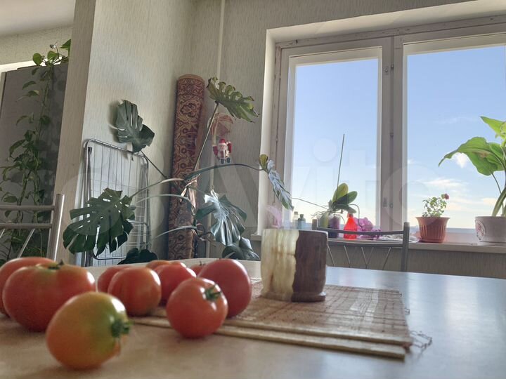 3-к. квартира, 79,3 м², 7/17 эт.