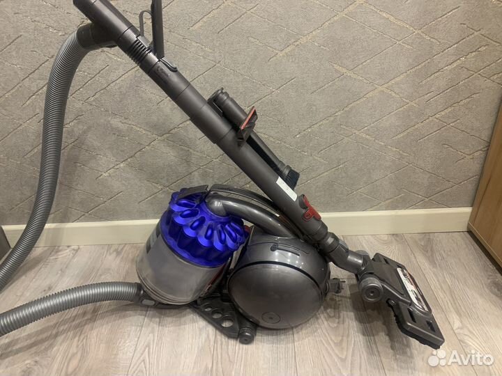 Пылесос Dyson DC37 allergymusclehead