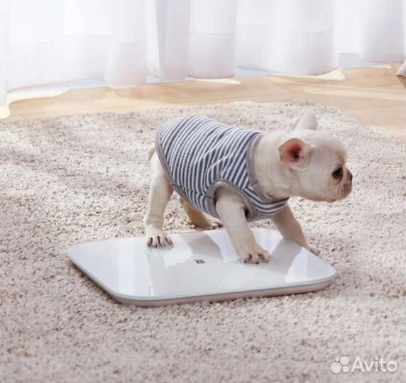 Весы напольные xiaomi