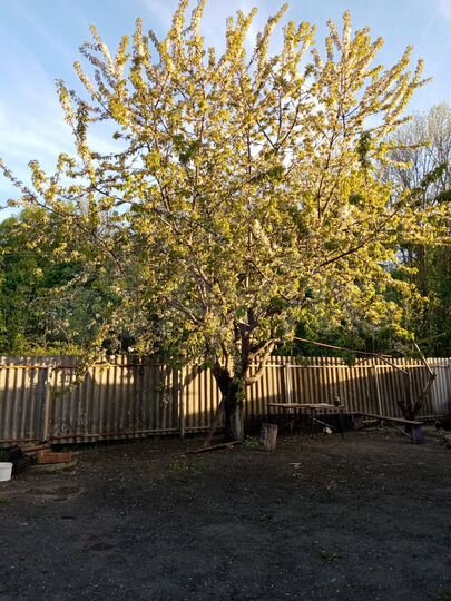 Дом 75,4 м² на участке 25 сот.