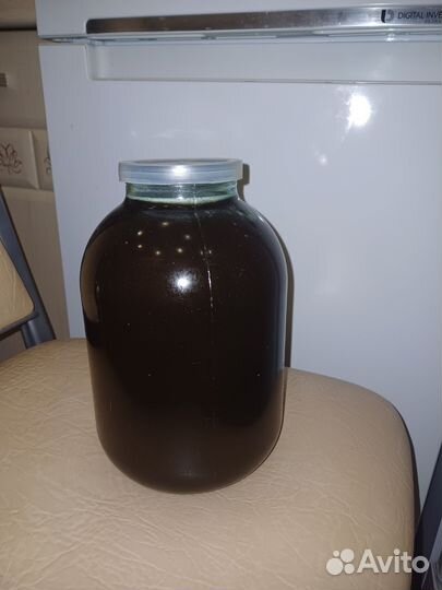 Мед гречишный 2024