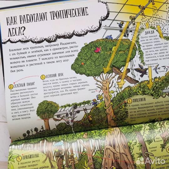 Новая Книга «Большое путешествие по планете Земля»