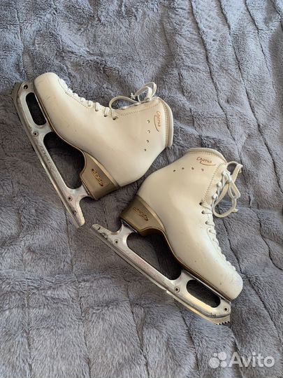 Коньки для фигурного катания edea chorus