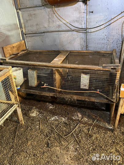 Клетка для кроликов с маточником