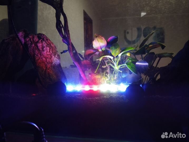 Аквариум с рыбками