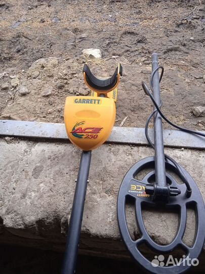 Металлоискатель garrett ace 250