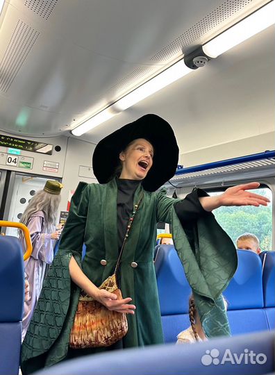 Билеты на поезд Гарри Поттер