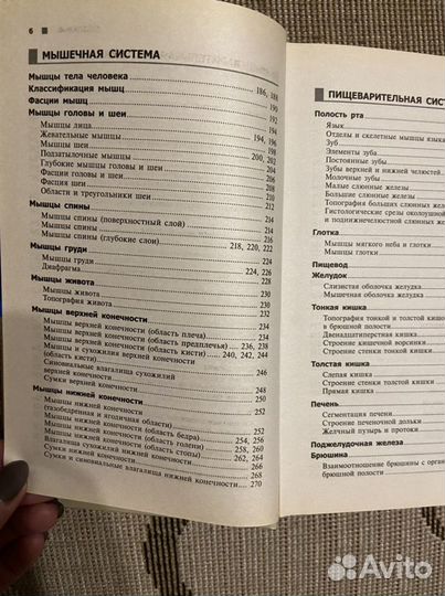 Справочный атлас анатомии человека