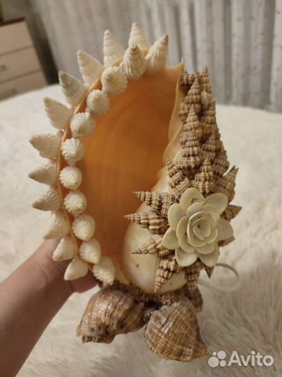 Светильник ночник, из ракушек